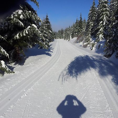Na Slunecni Pohadkova Chaloupka Ve Sladke Dire Příchovice Bagian luar foto