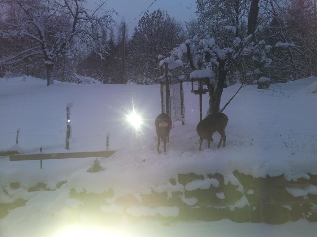 Na Slunecni Pohadkova Chaloupka Ve Sladke Dire Příchovice Bagian luar foto